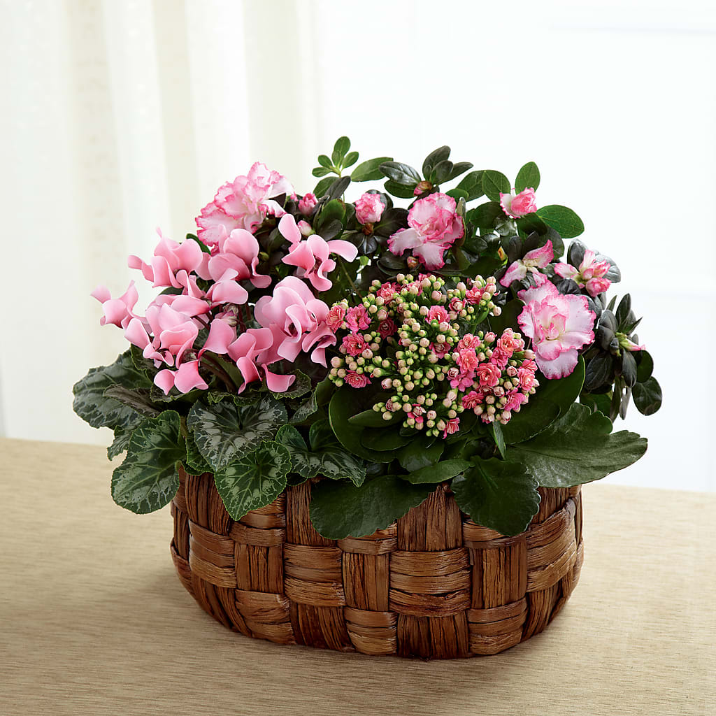 Pink Assortment – Bloom N Grow Floral Design, Atascadero CA