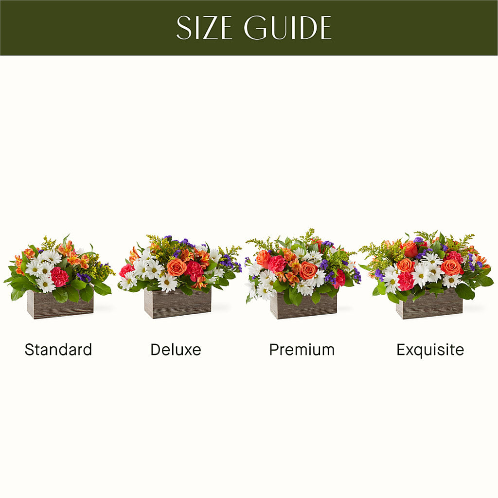 Oopsie Daisy Box Bouquet – Bloom N Grow Floral Design, Atascadero CA