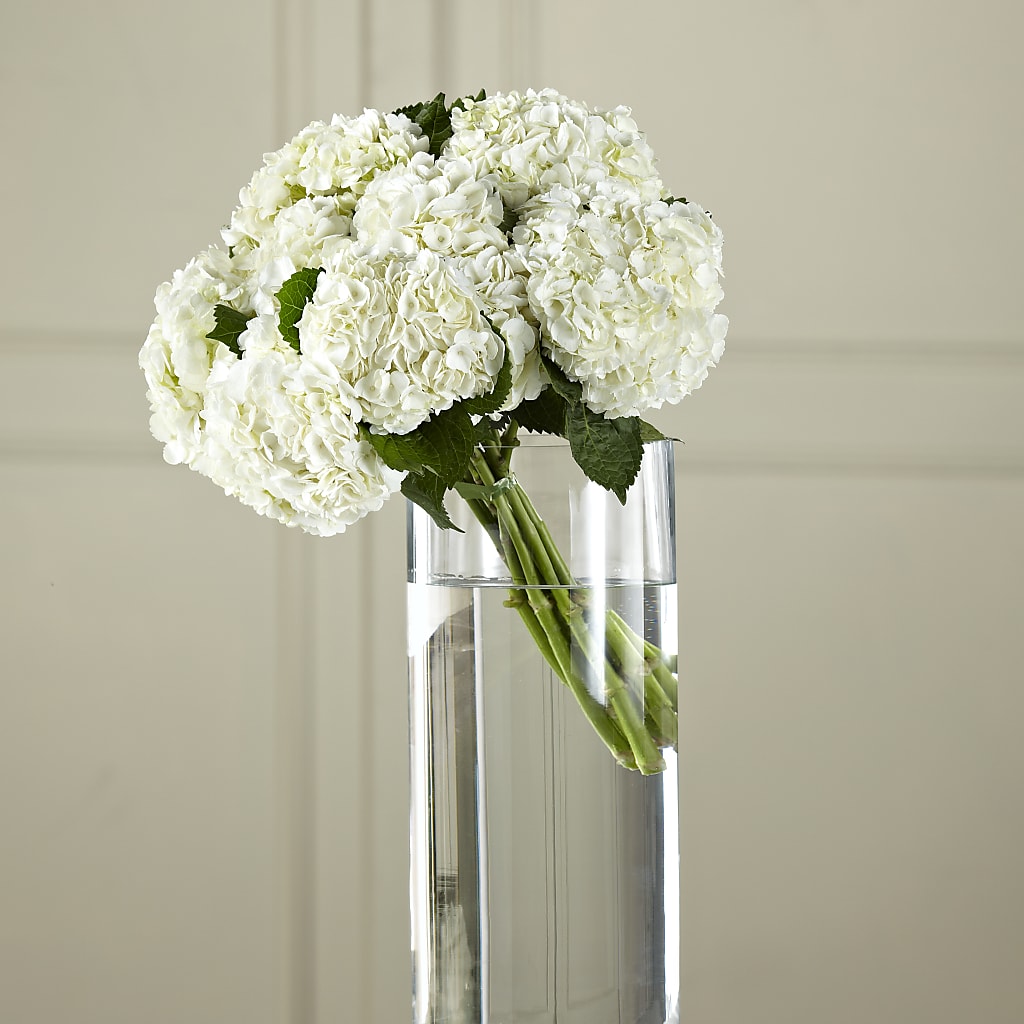 White Hydrangea Hand-Tied Bouquet – Bloom N Grow Floral Design, Atascadero CA