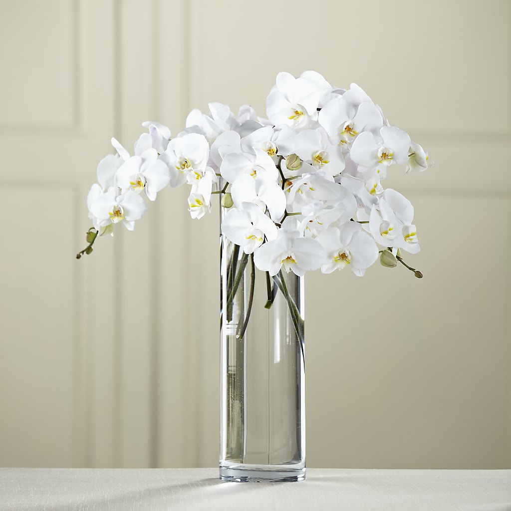 White Phalaenopsis Bouquet – Bloom N Grow Floral Design, Atascadero CA