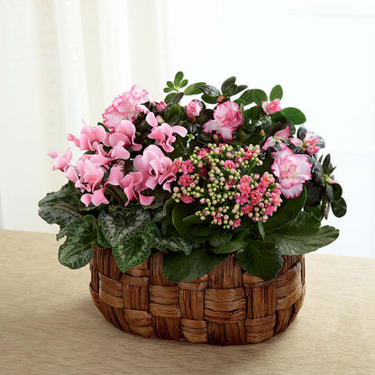 Pink Assortment –  Bloom N Grow Floral Design, Atascadero CA