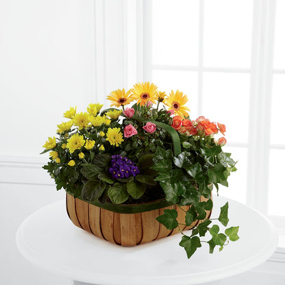 Gentle Blossoms Basket –  Bloom N Grow Floral Design, Atascadero CA