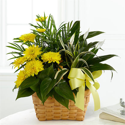 Loving Light Dishgarden –  Bloom N Grow Floral Design, Atascadero CA