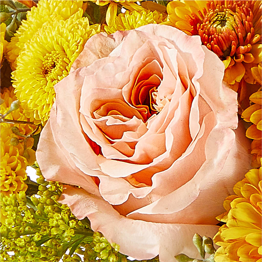 Peachy Pumpkin –  Bloom N Grow Floral Design, Atascadero CA