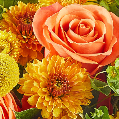 Gourdgeous Pumpkin –  Bloom N Grow Floral Design, Atascadero CA