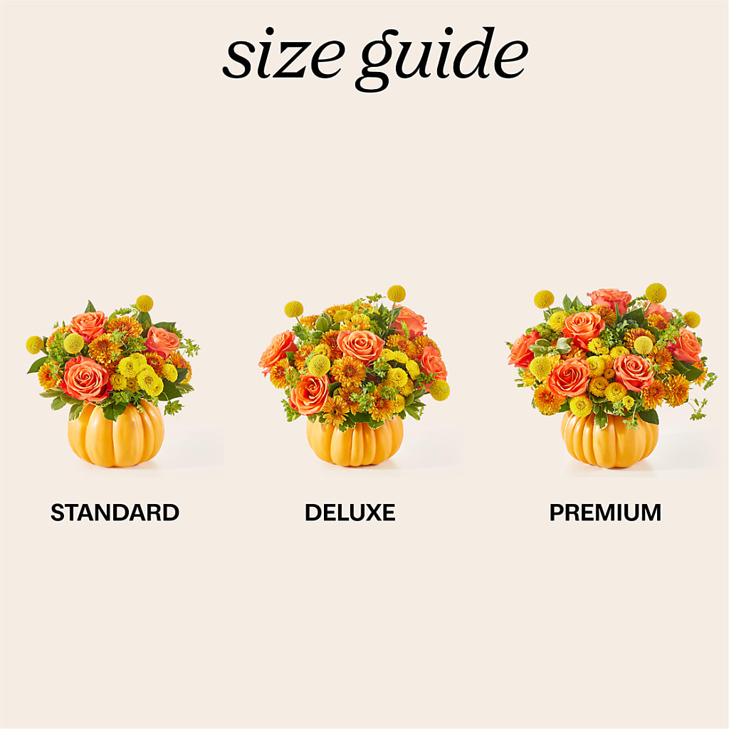 Gourdgeous Pumpkin –  Bloom N Grow Floral Design, Atascadero CA