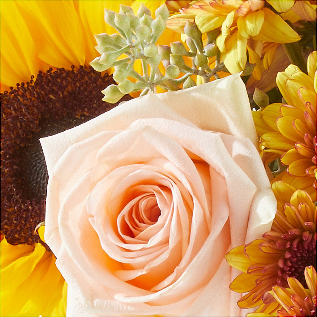 Pumpkin to Talk About Bouquet –  Bloom N Grow Floral Design, Atascadero CA