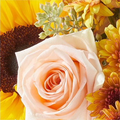 Pumpkin to Talk About Bouquet –  Bloom N Grow Floral Design, Atascadero CA