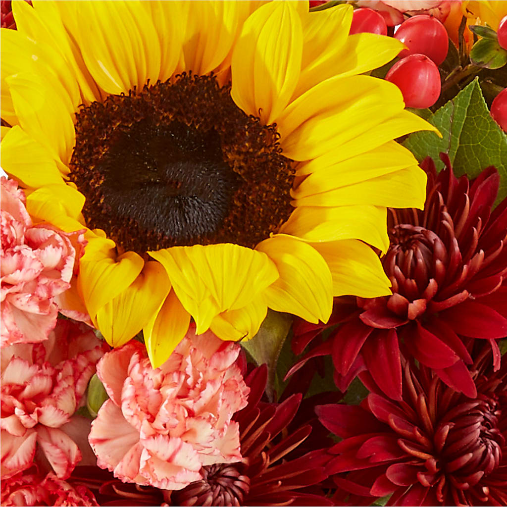 Fresh Cider Bouquet –  Bloom N Grow Floral Design, Atascadero CA