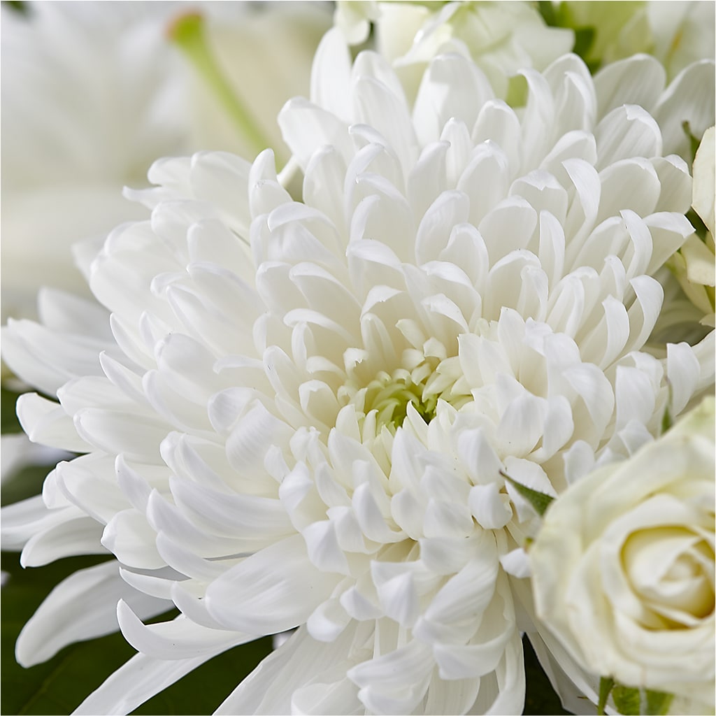 Classic Ivory – A Florist Original –  Bloom N Grow Floral Design, Atascadero CA