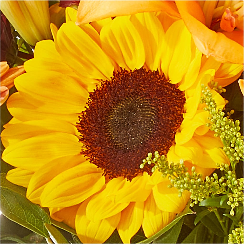 Seasons Change Bouquet –  Bloom N Grow Floral Design, Atascadero CA