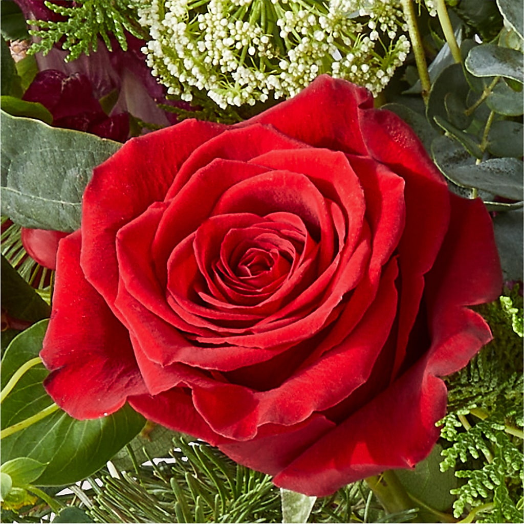 Cranberry Fizz Bouquet –  Bloom N Grow Floral Design, Atascadero CA