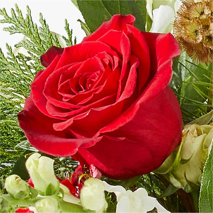 Deck the Halls Bouquet –  Bloom N Grow Floral Design, Atascadero CA