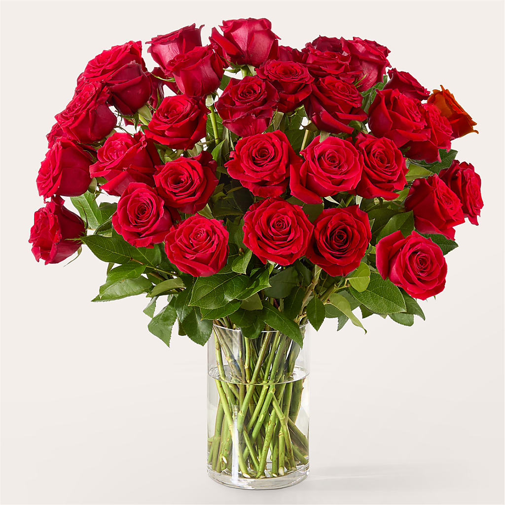 The One Red Rose Bouquet –  Bloom N Grow Floral Design, Atascadero CA
