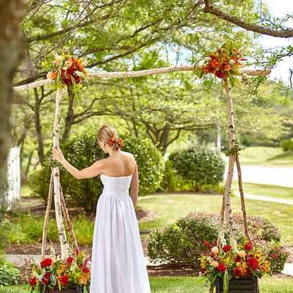 Arbor of Love Archway –  Bloom N Grow Floral Design, Atascadero CA