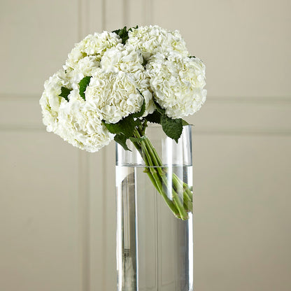 White Hydrangea Hand-Tied Bouquet –  Bloom N Grow Floral Design, Atascadero CA